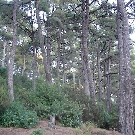 Studio With Loft Raxes Ikaria #5 Raches  외부 사진